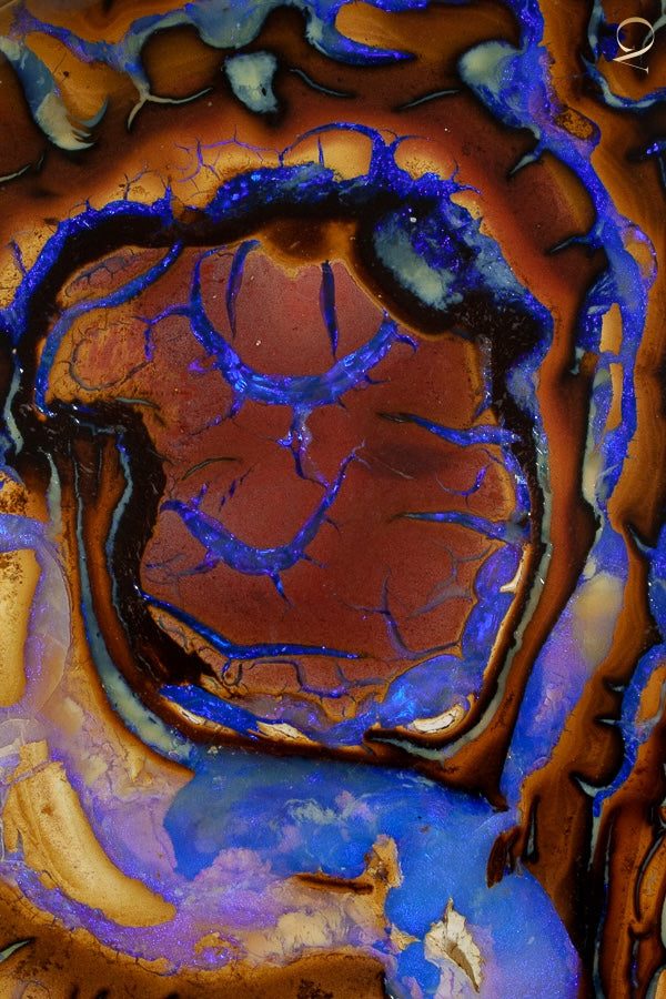 Whirlpool Ensemble