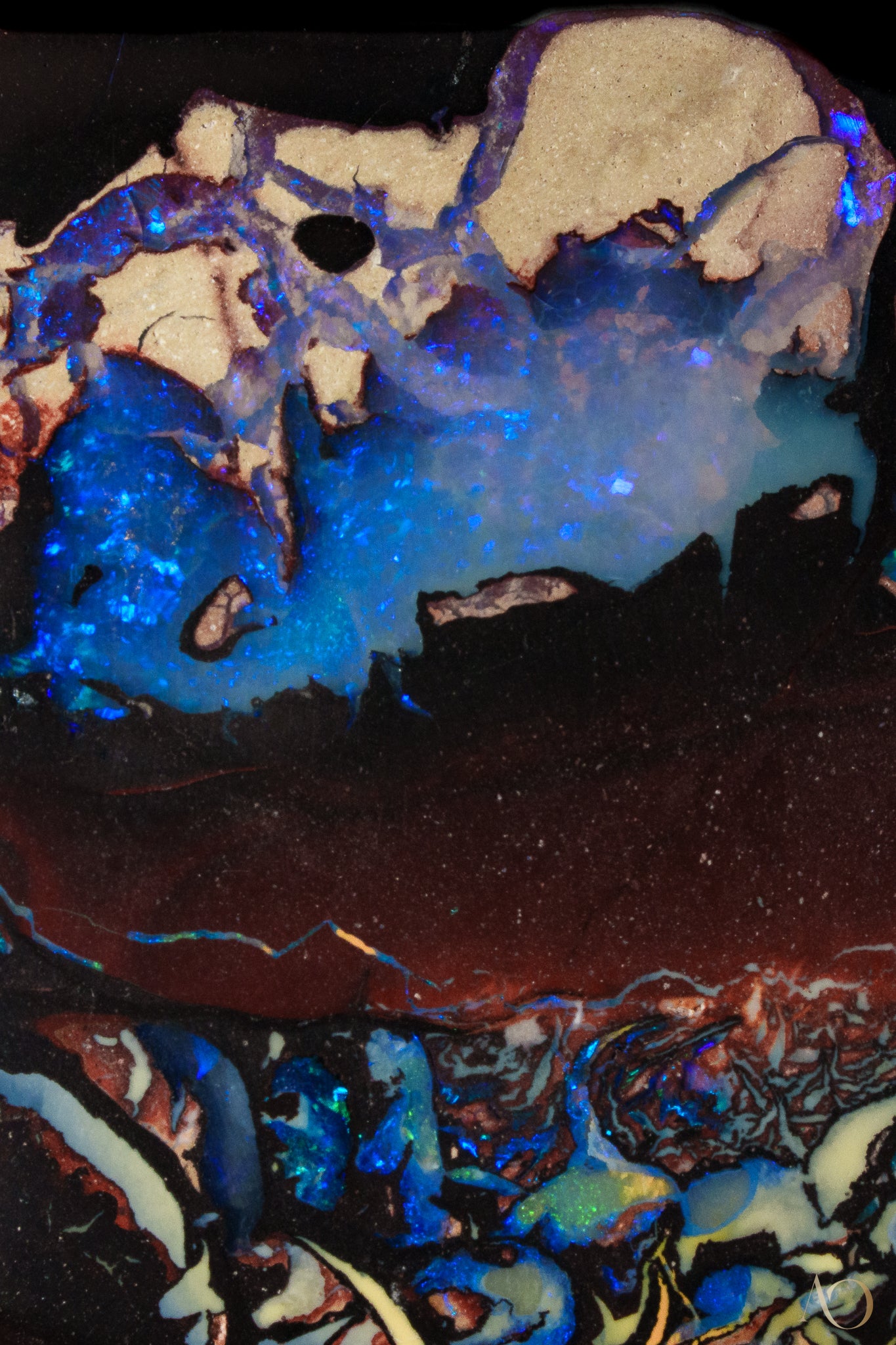 Orcas in Diptych