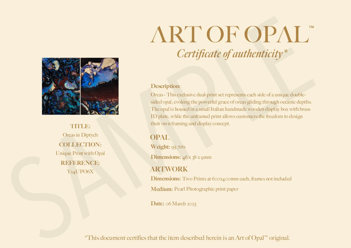 Orcas in Diptych