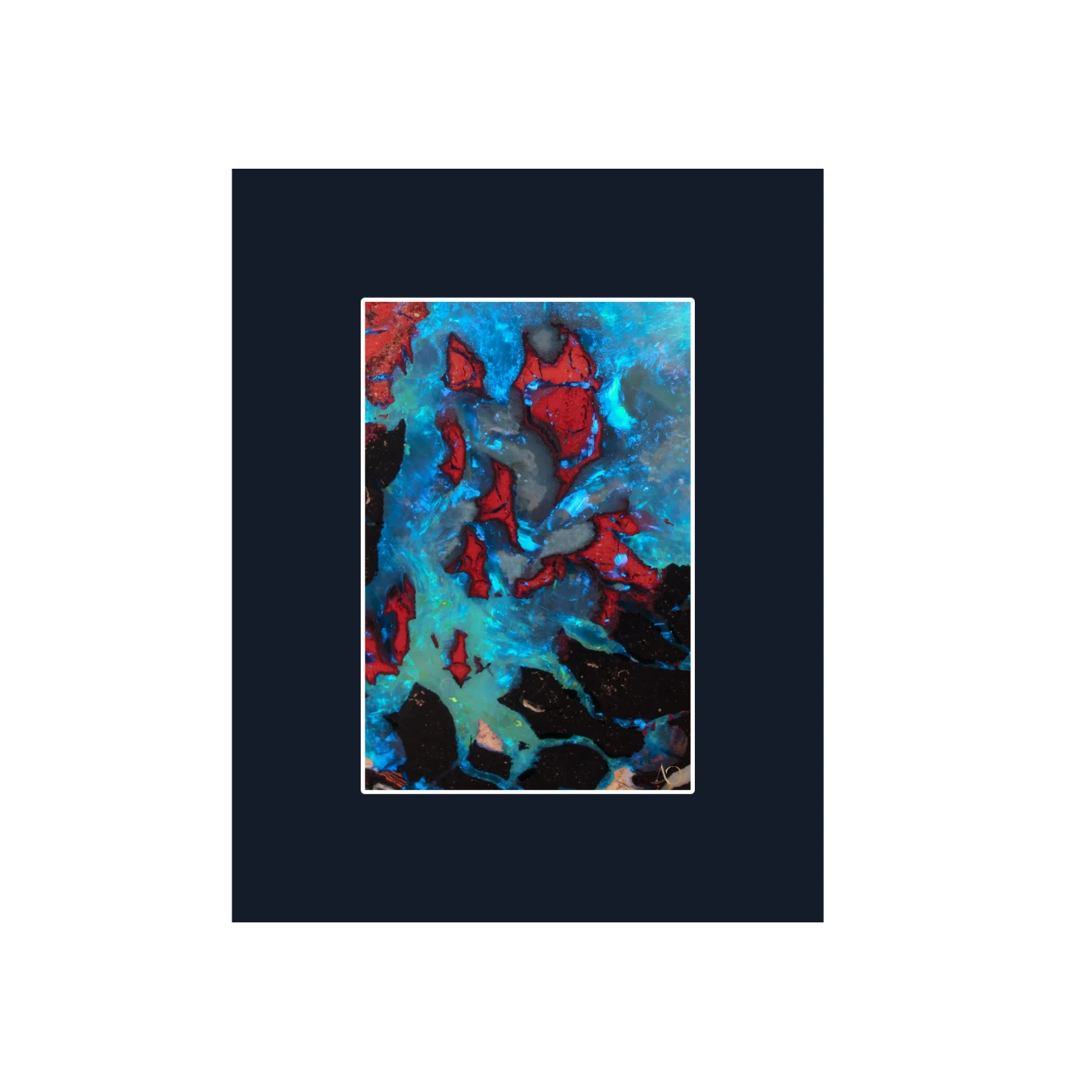 Black Reef