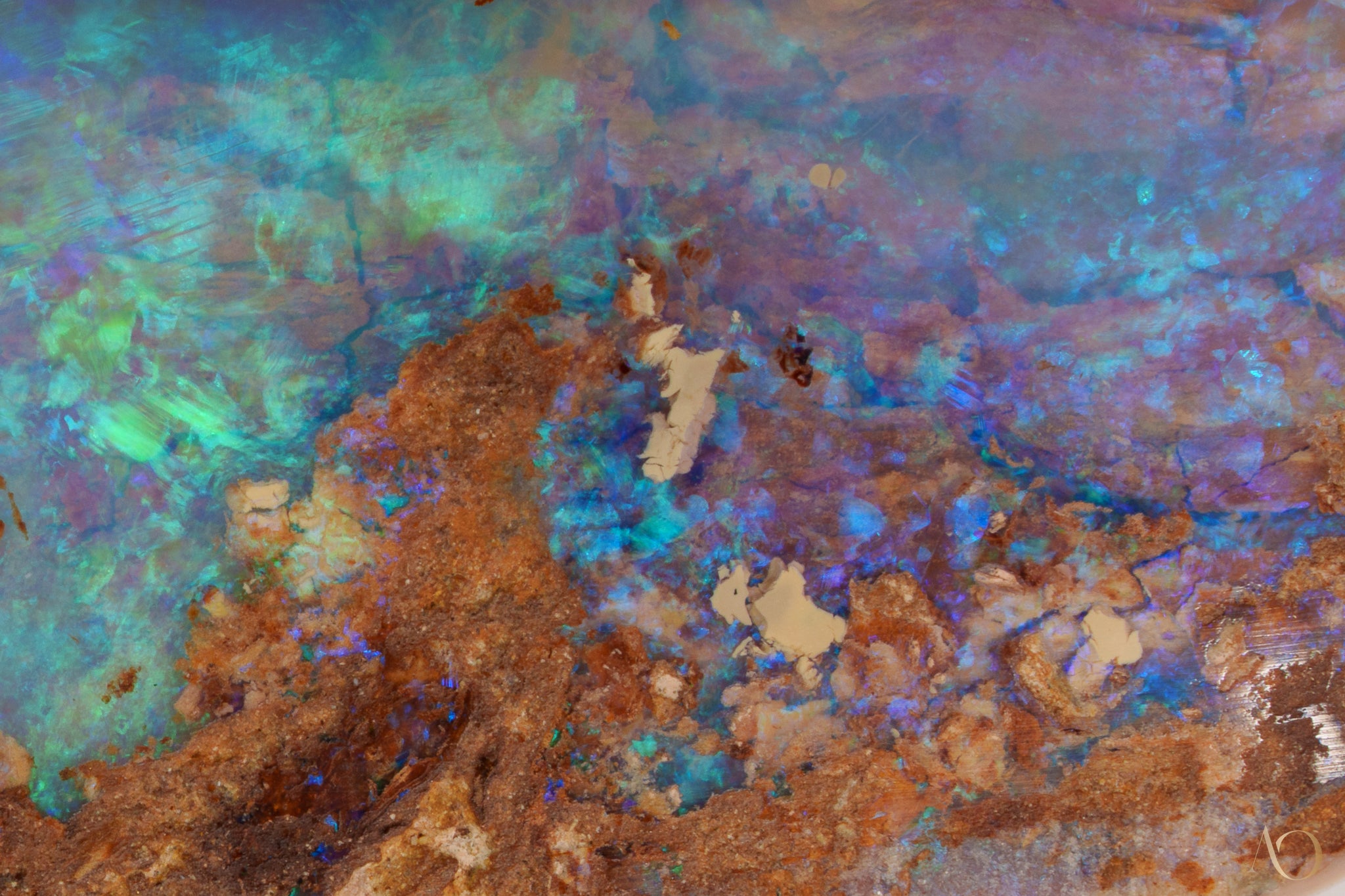 Wood Reef Monet
