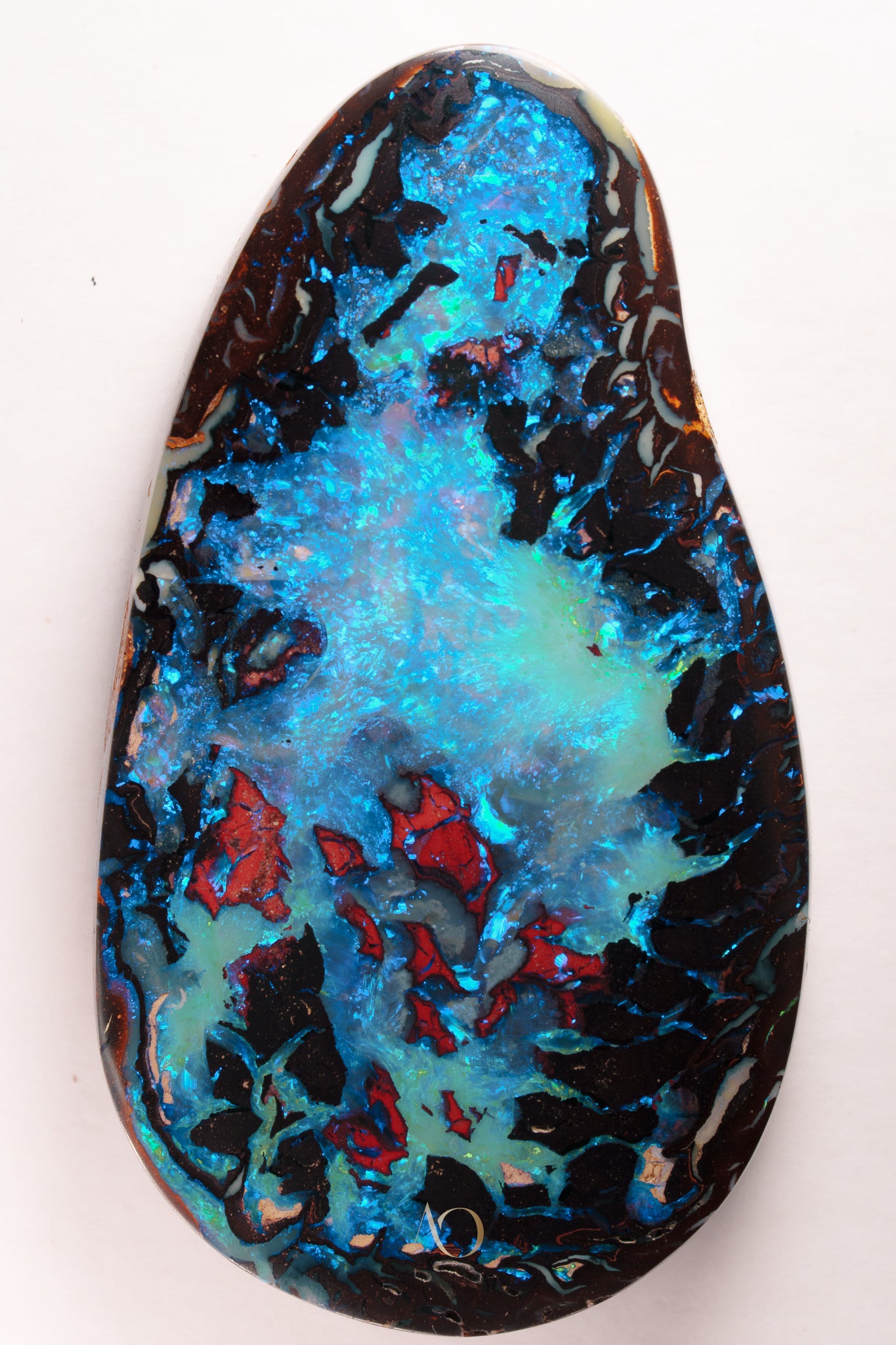 Black Reef