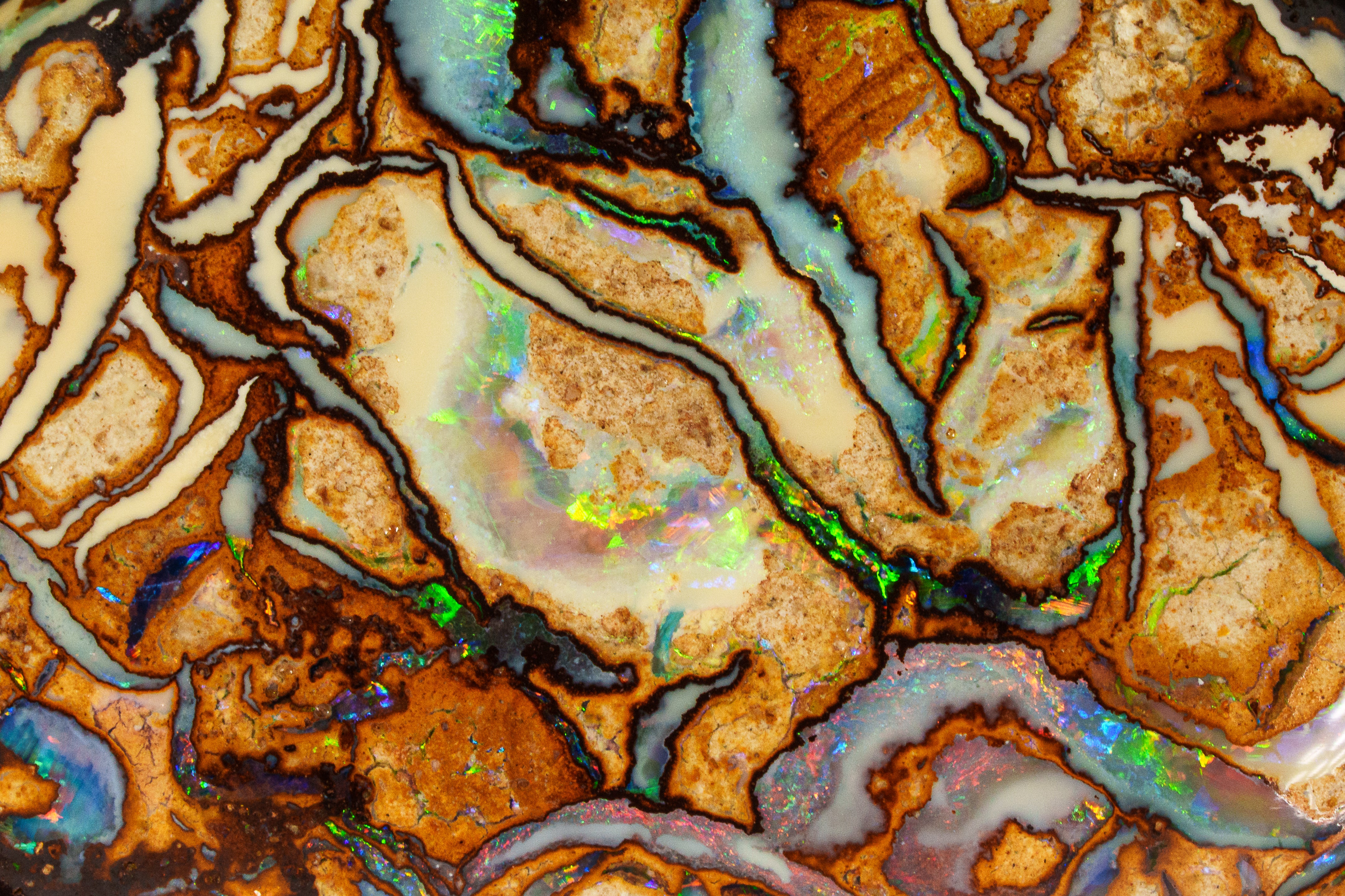 Coming Soon Tribal Turmoil