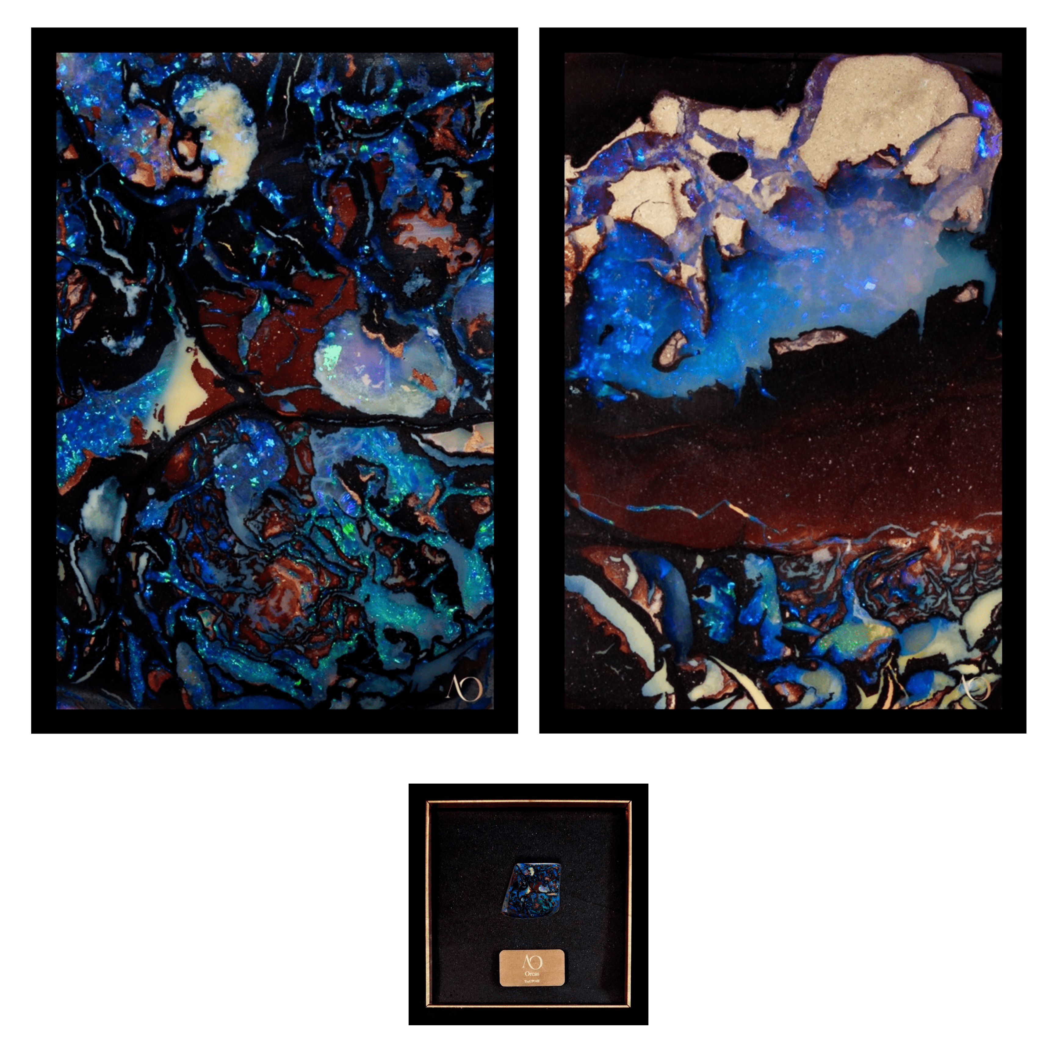 Orcas in Diptych