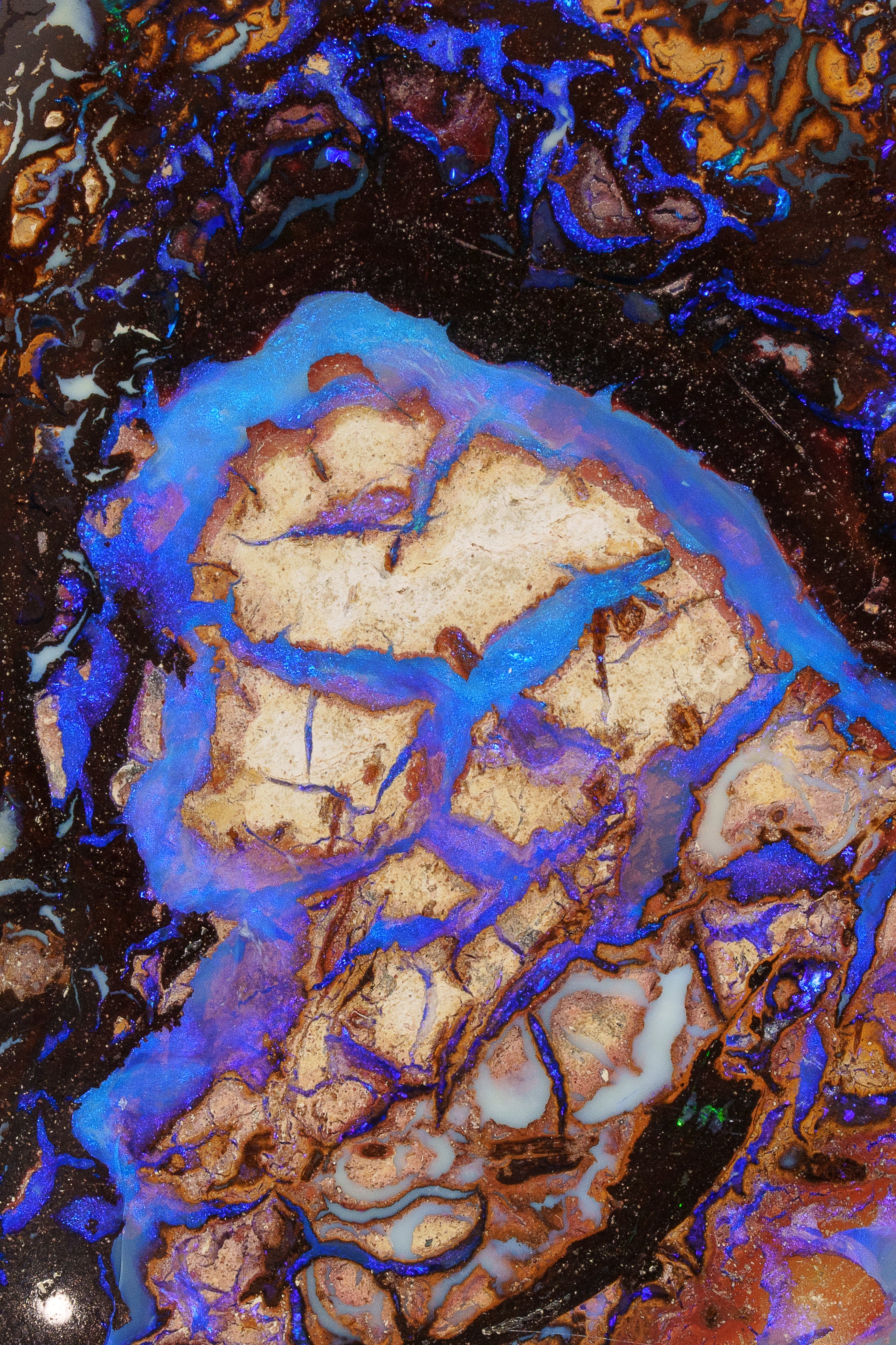 Coming Soon Tides Of The Deep