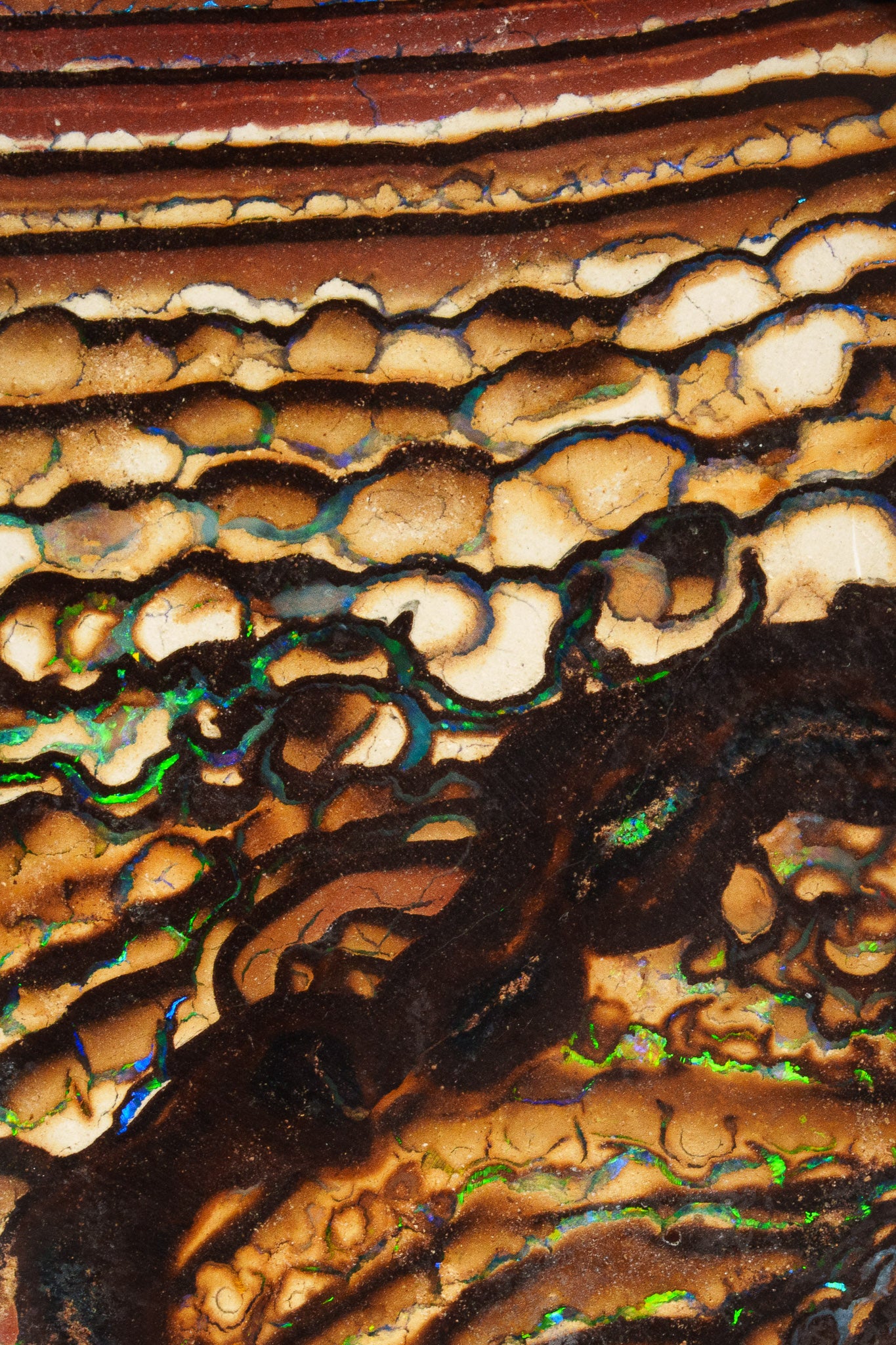 Coming Soon - Promised Land